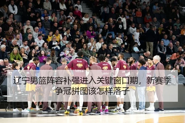辽宁男篮阵容补强进入关键窗口期，新赛季争冠拼图该怎样落子