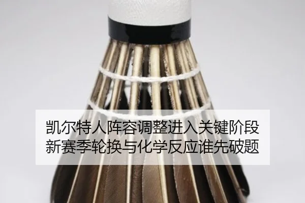 凯尔特人阵容调整进入关键阶段 新赛季轮换与化学反应谁先破题